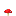 collect_shroom